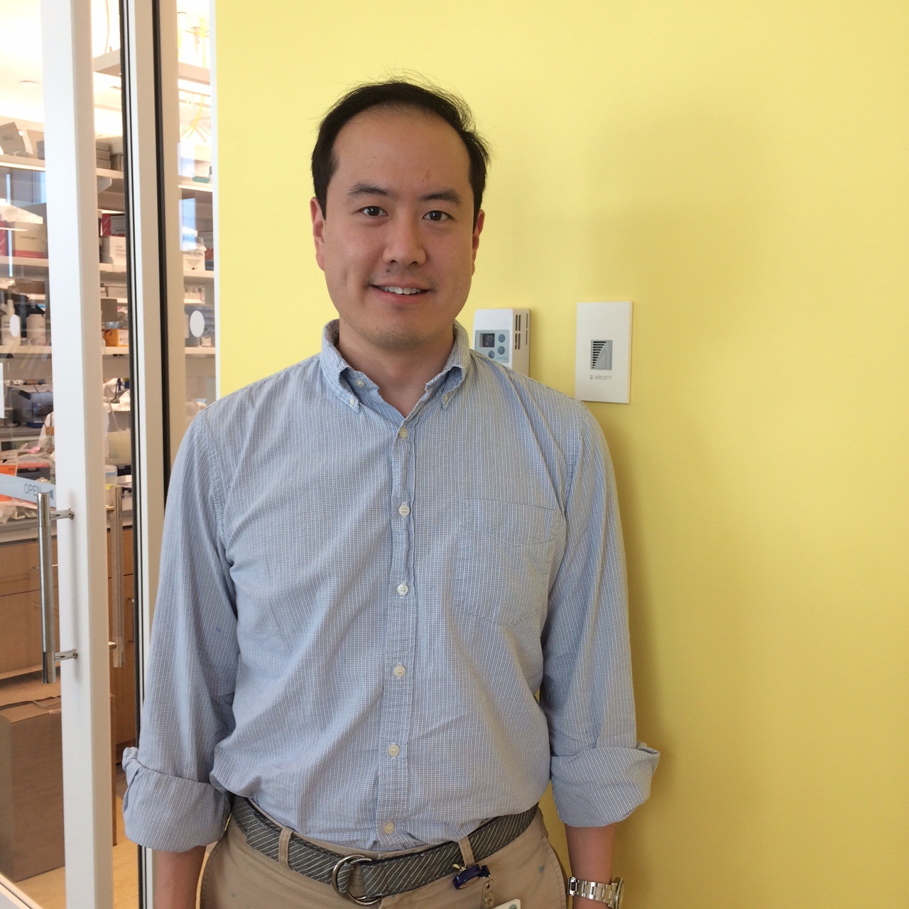 Carcinoma differentiation dissertation embryonic epigenetic p19 study